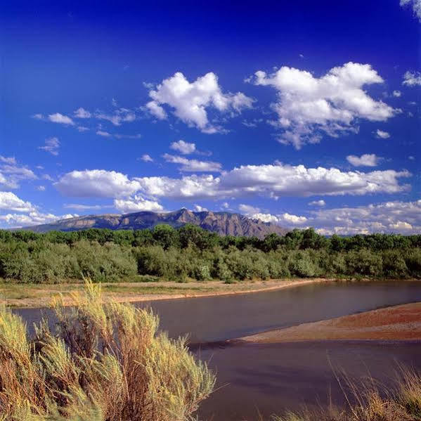 Sheraton Albuquerque Airport Hotel Dış mekan fotoğraf
